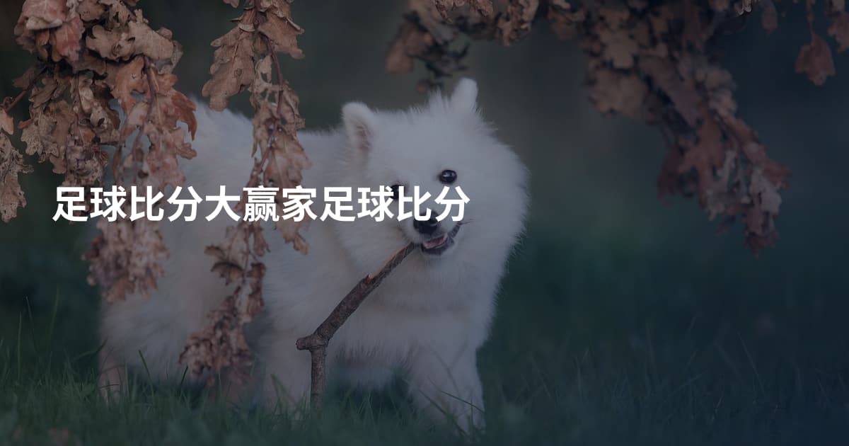 足球比分大赢家足球比分