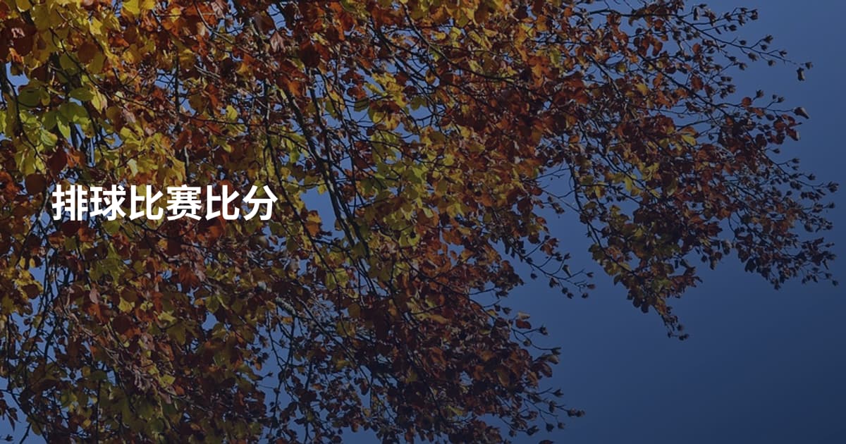 排球比赛比分
