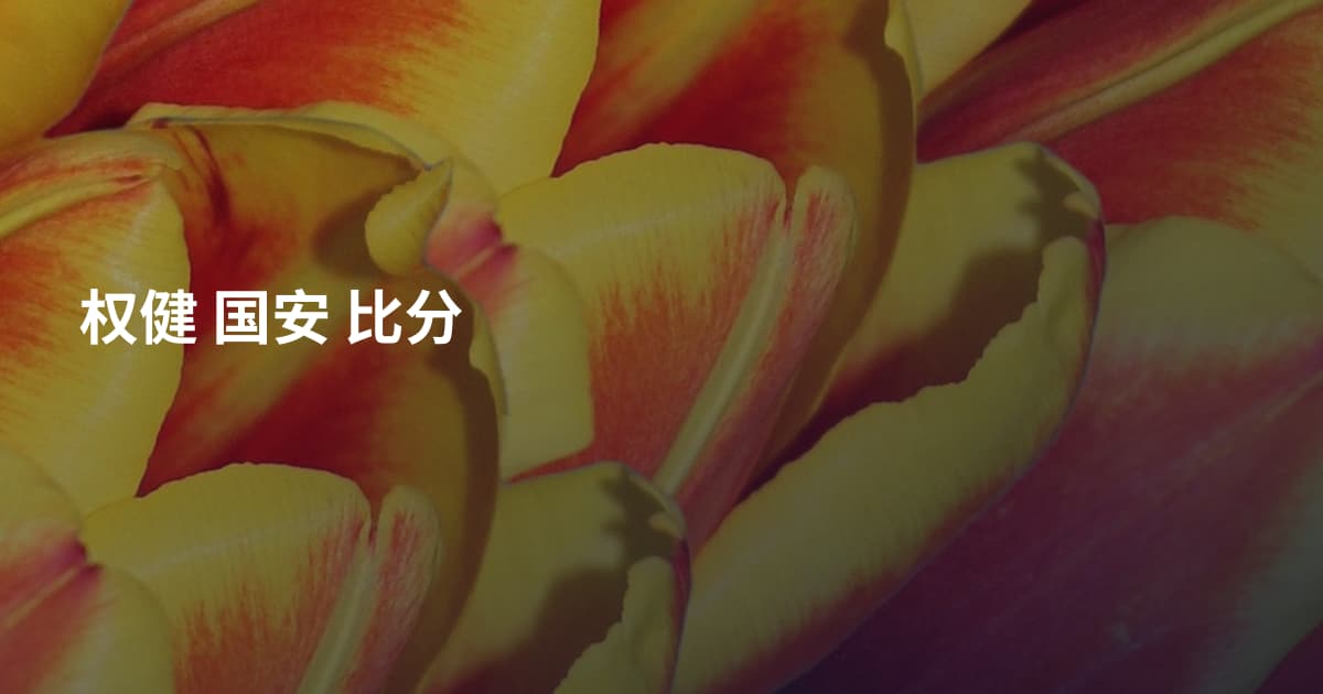 权健 国安 比分