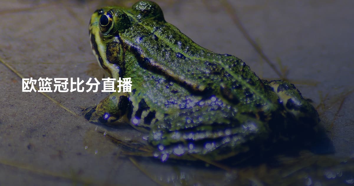 欧篮冠比分直播