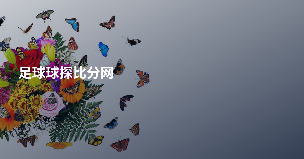 足球球探比分网