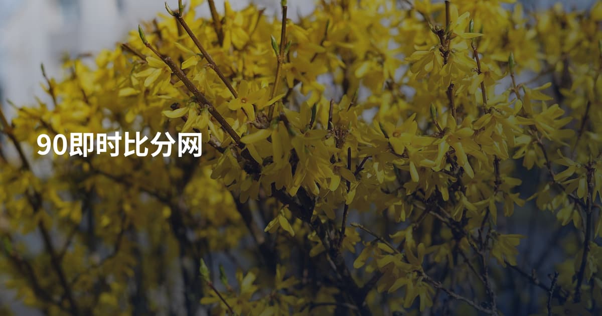 90即时比分网