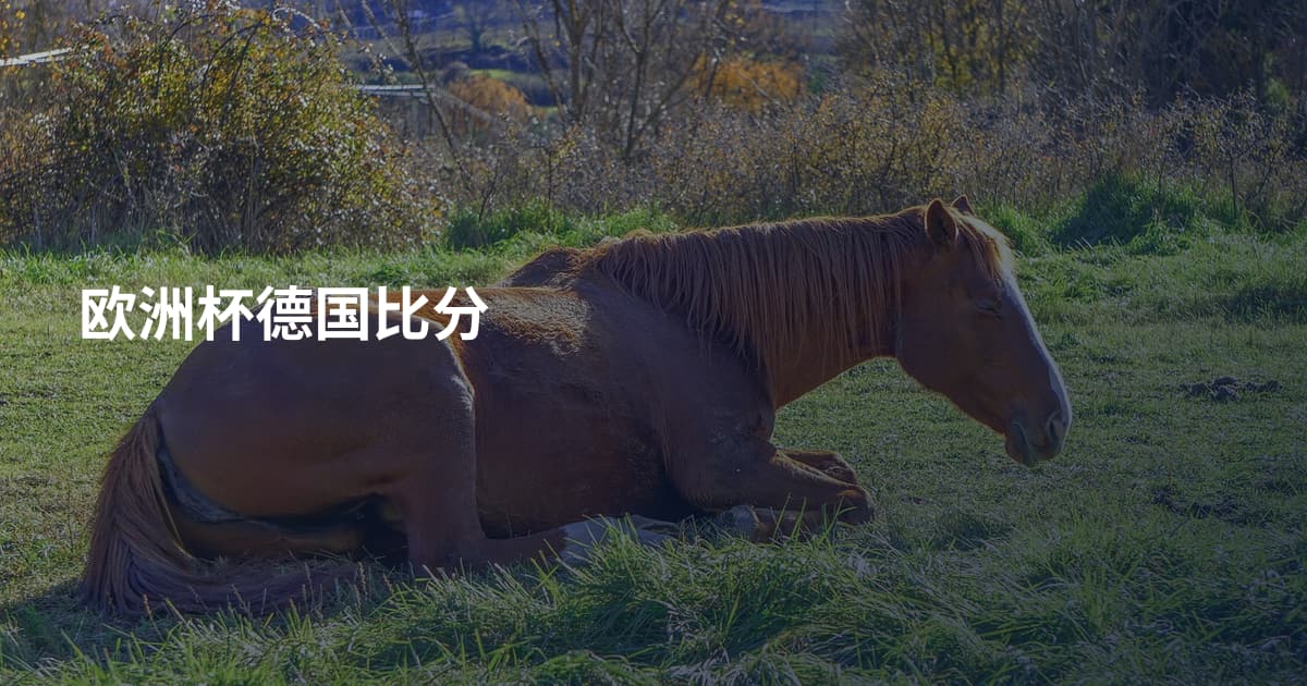 欧洲杯德国比分