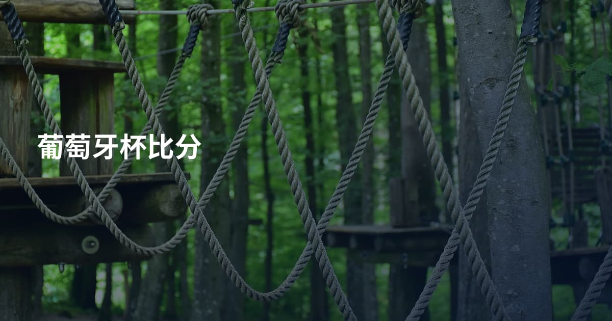 葡萄牙杯比分
