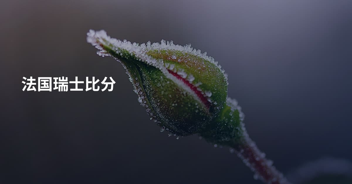 法国瑞士比分
