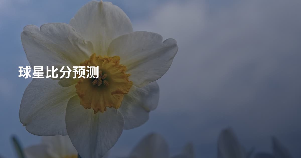 球星比分预测