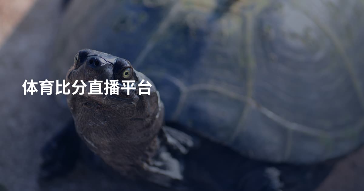 体育比分直播平台