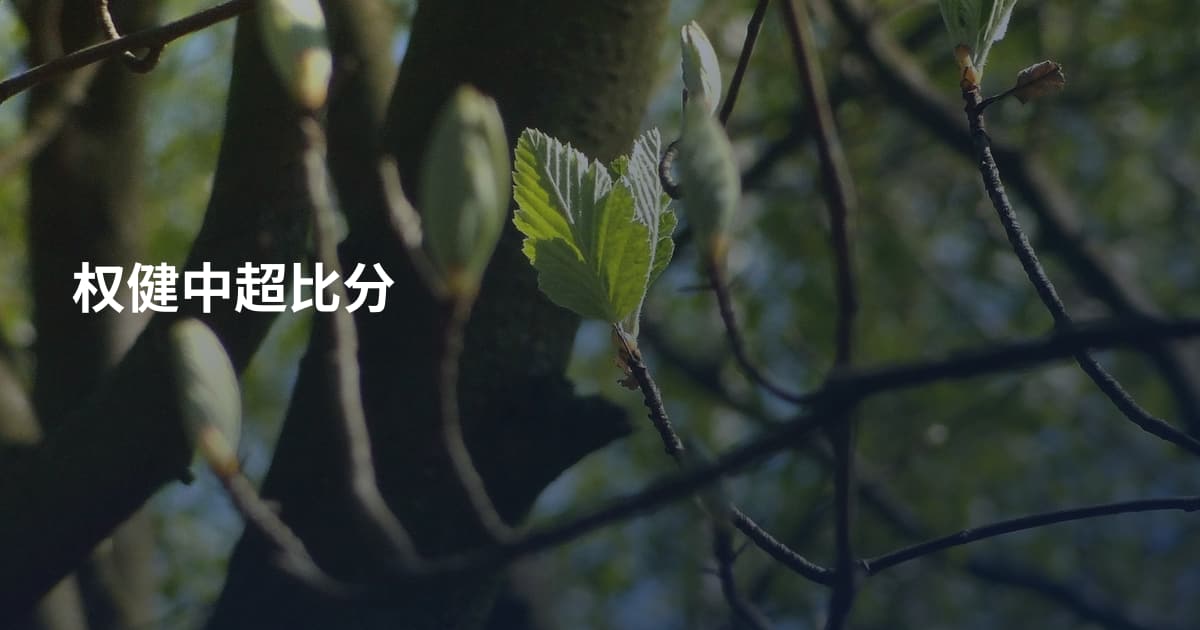 权健中超比分