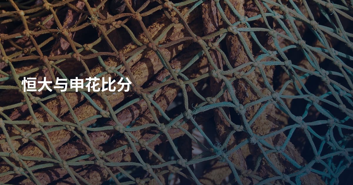 恒大与申花比分