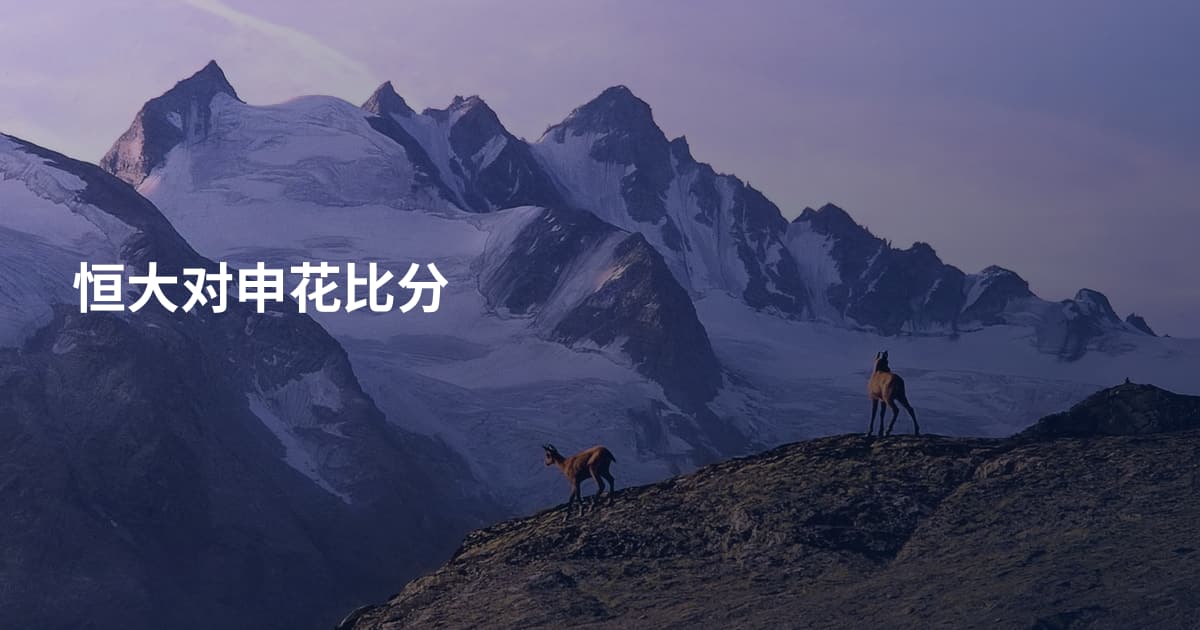 恒大对申花比分