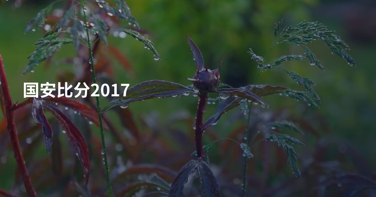 国安比分2017
