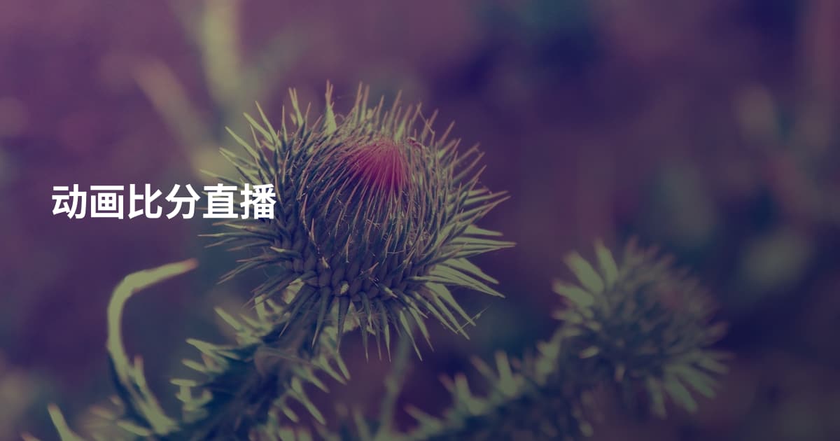 动画比分直播