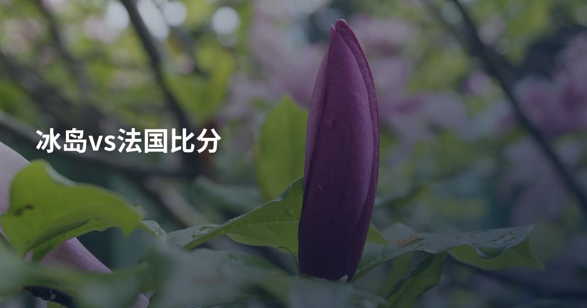 冰岛vs法国比分