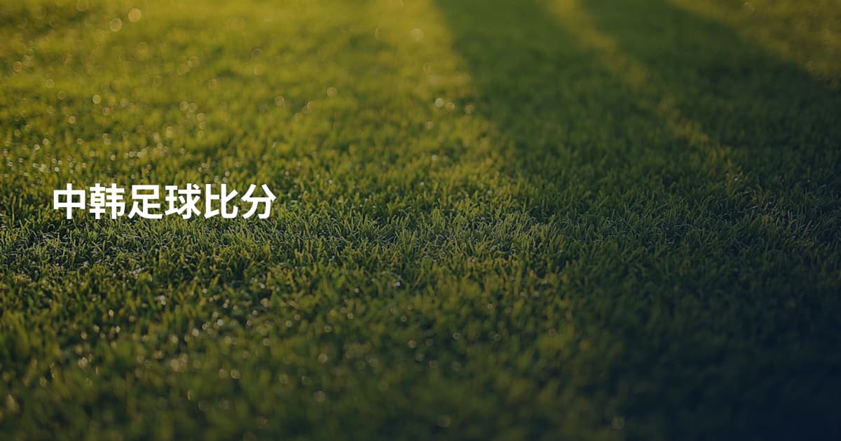 中韩足球比分