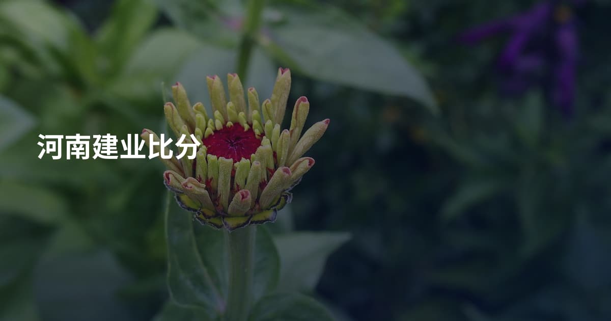 河南建业比分