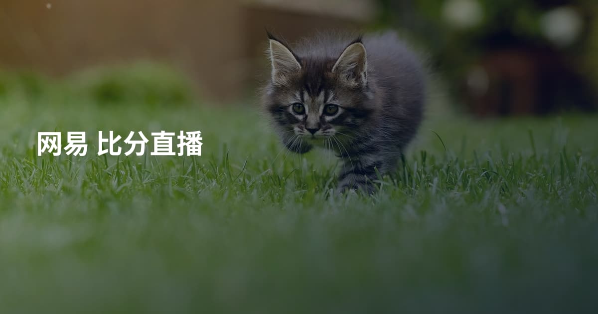 网易 比分直播