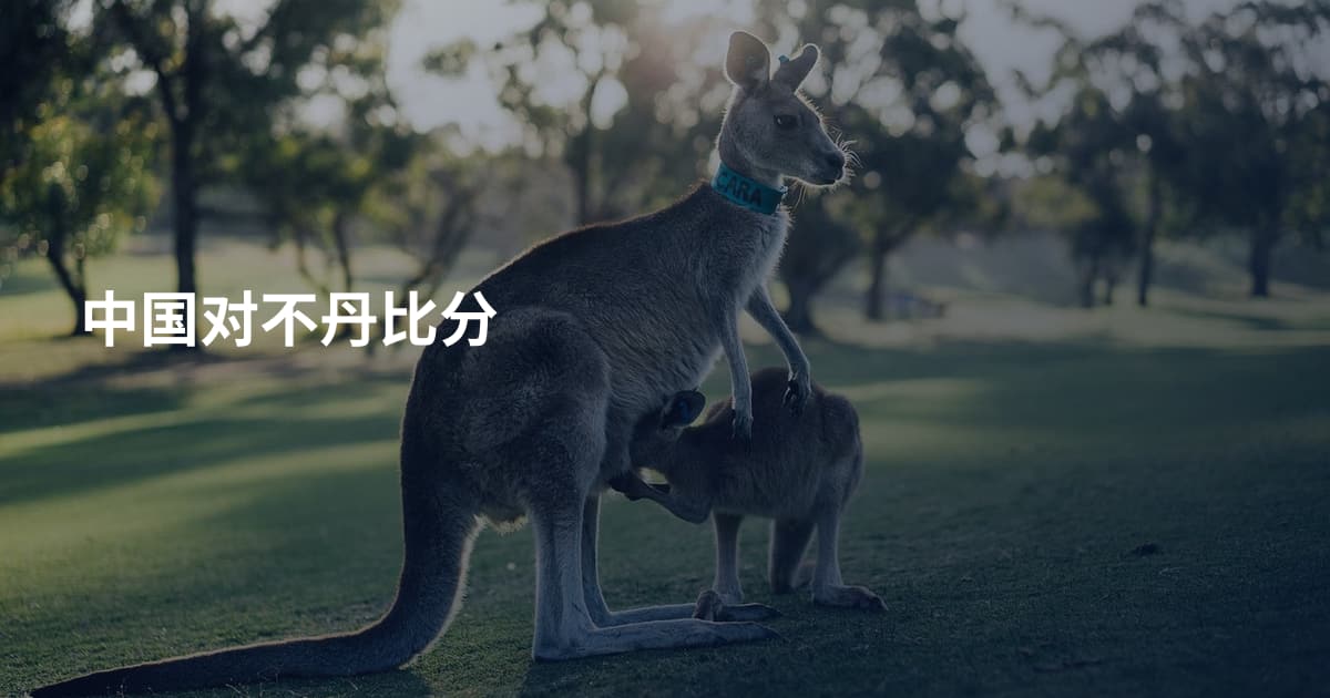 中国对不丹比分