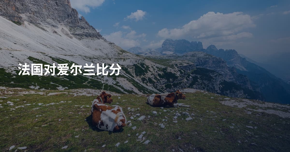 法国对爱尔兰比分