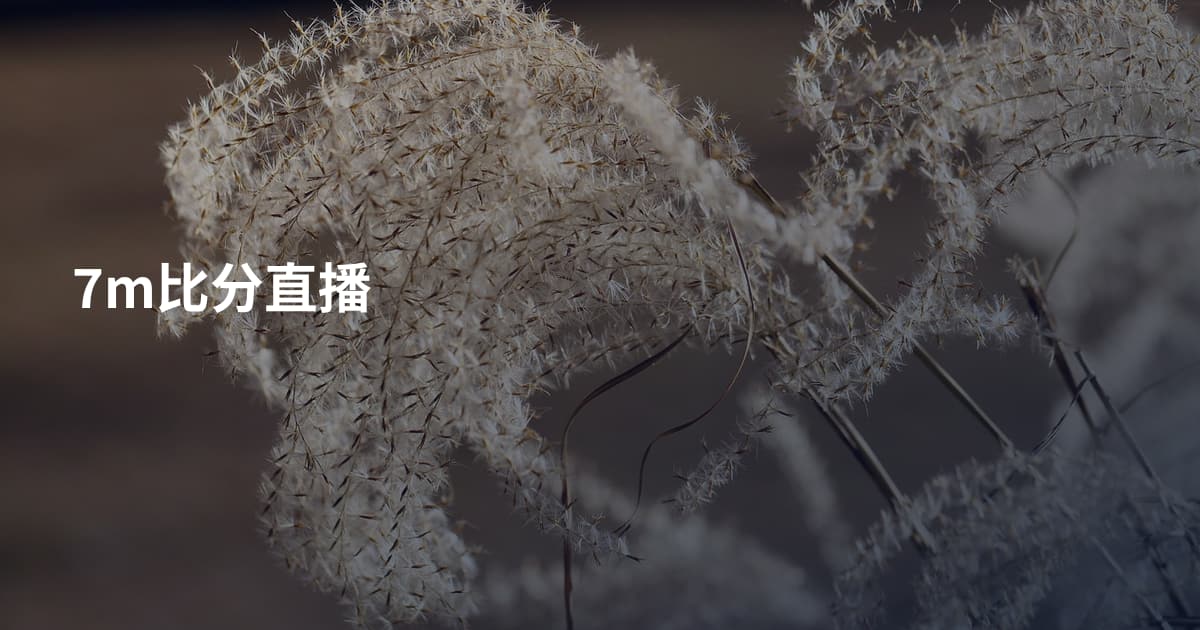 7m比分直播
