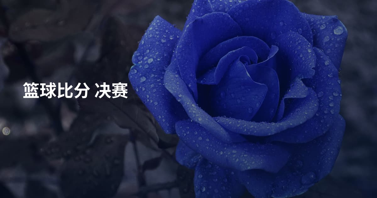 篮球比分 决赛