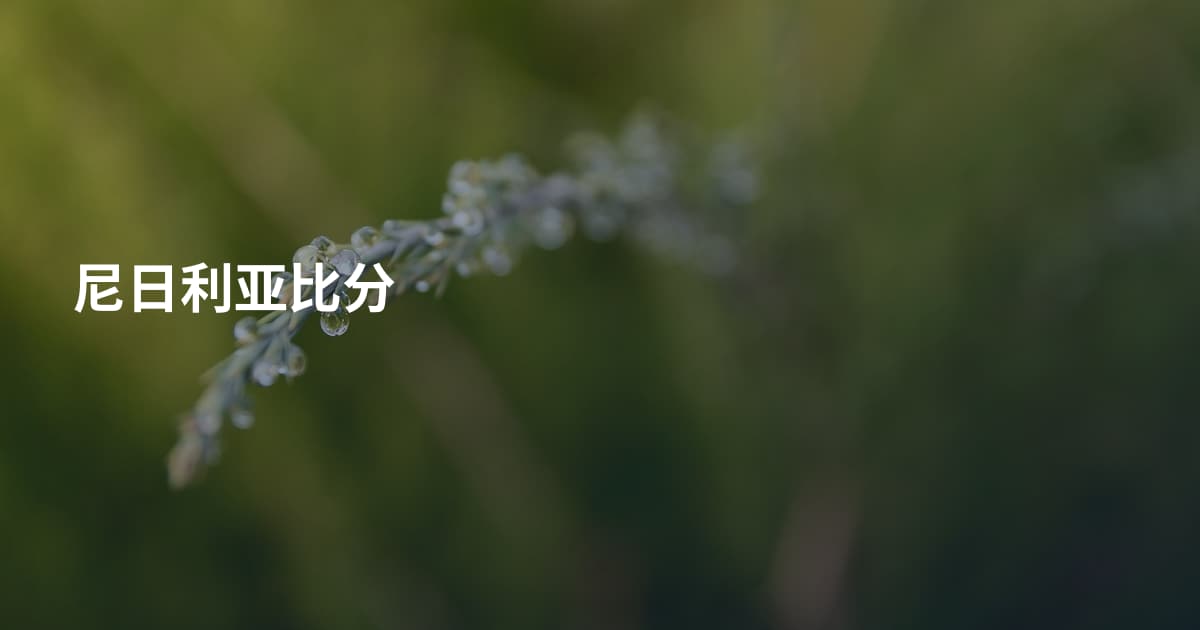 尼日利亚比分