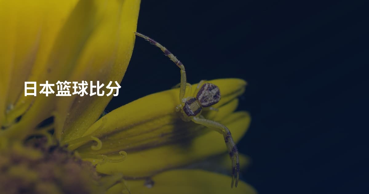 日本篮球比分
