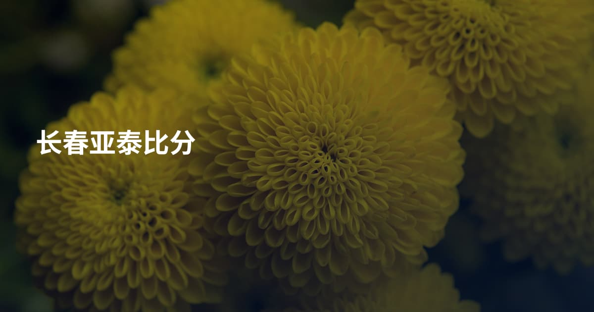 长春亚泰比分