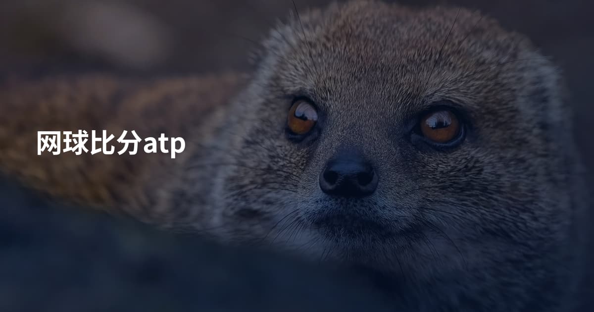 网球比分atp