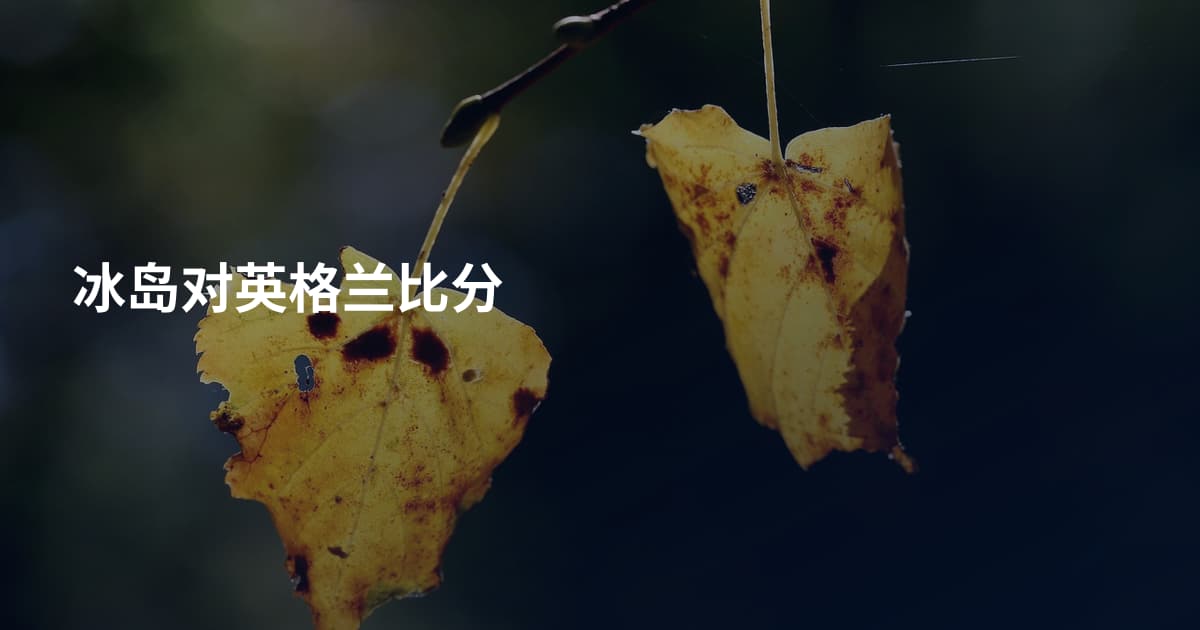 冰岛对英格兰比分