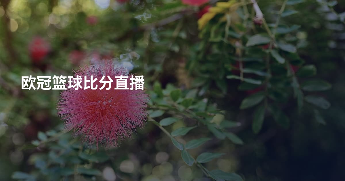 欧冠篮球比分直播