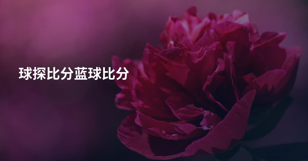 球探比分蓝球比分