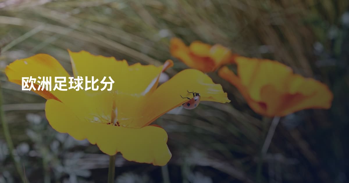 欧洲足球比分