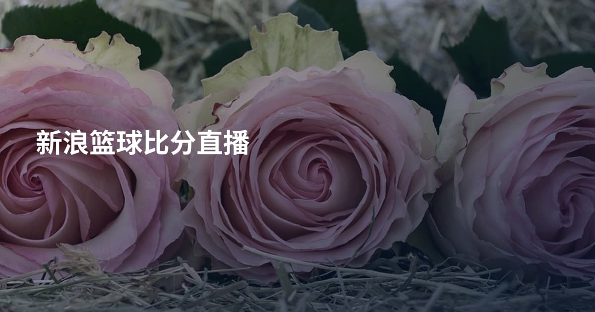 新浪篮球比分直播