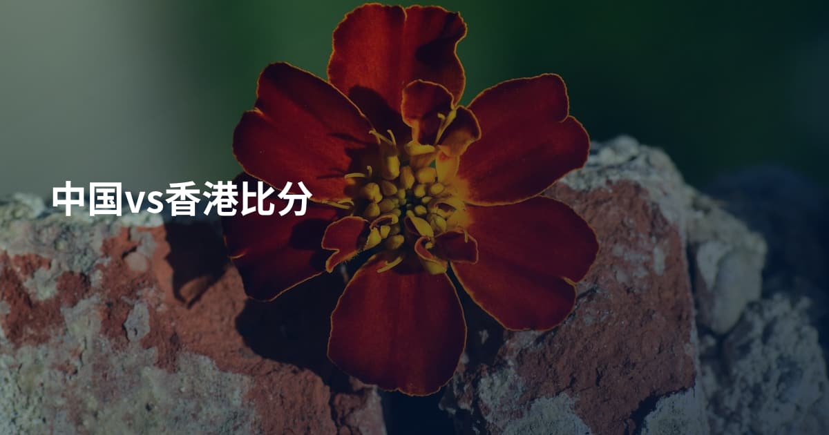 中国vs香港比分