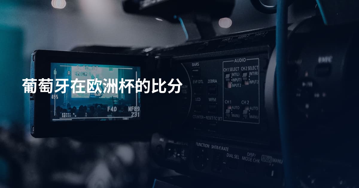 葡萄牙在欧洲杯的比分