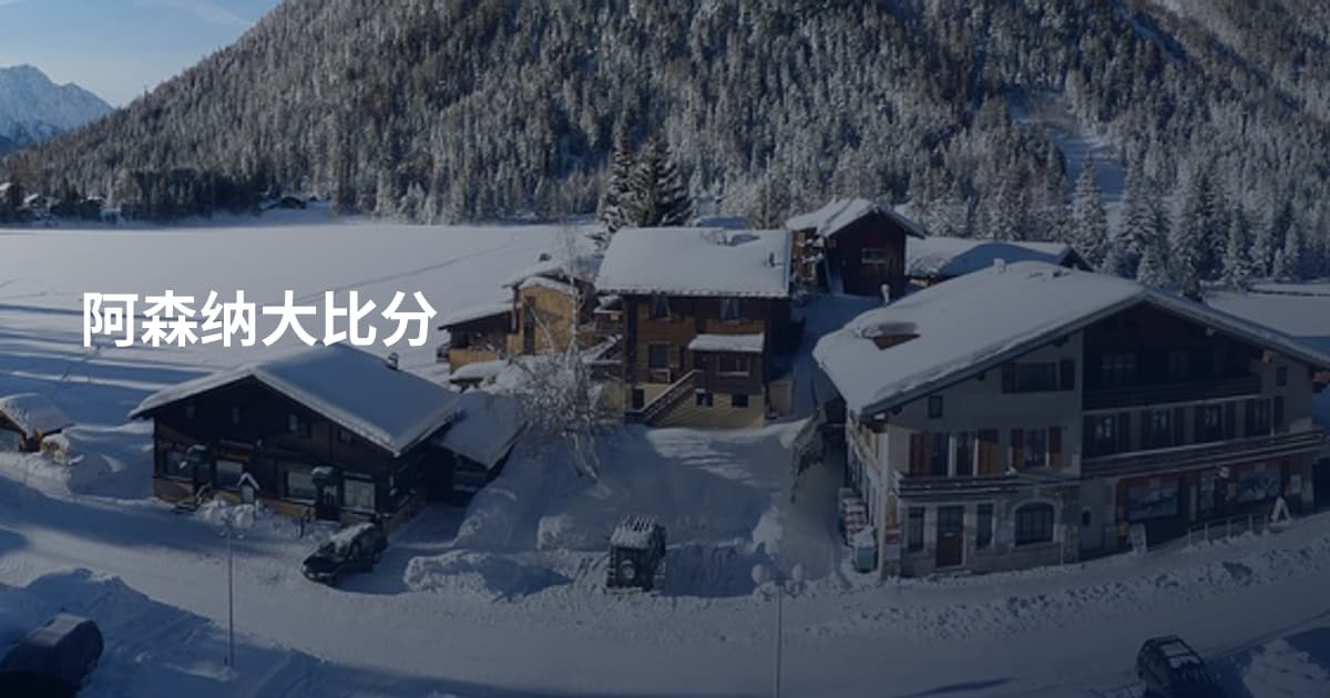 阿森纳大比分