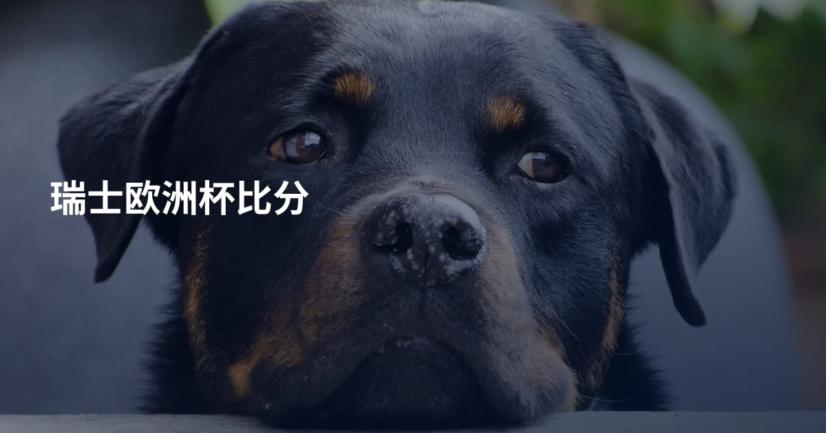 瑞士欧洲杯比分