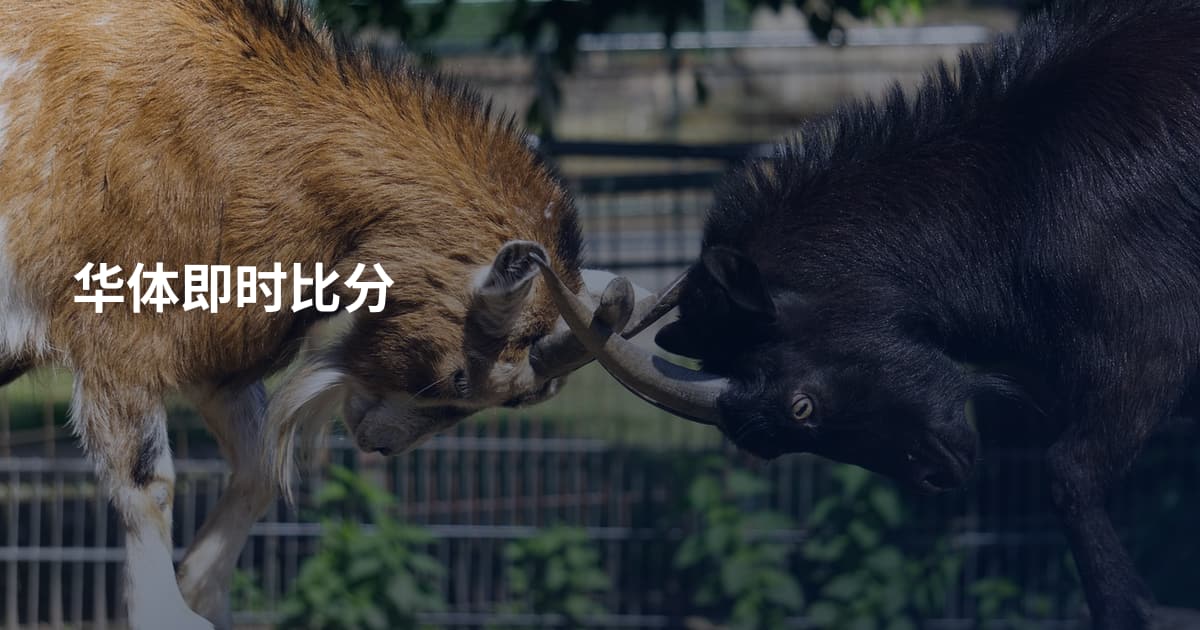 华体即时比分