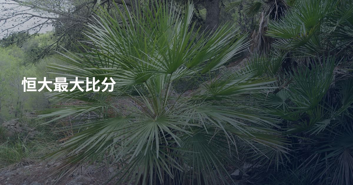 恒大最大比分