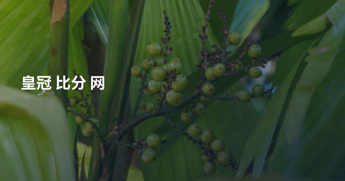 皇冠 比分 网