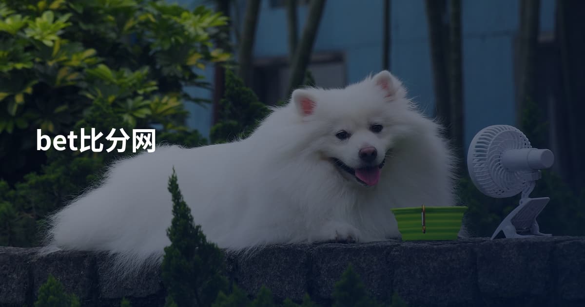 bet比分网