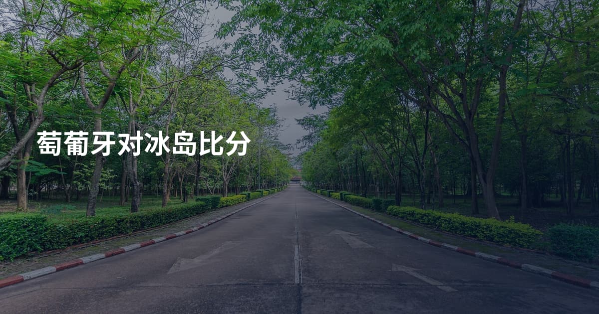 萄葡牙对冰岛比分