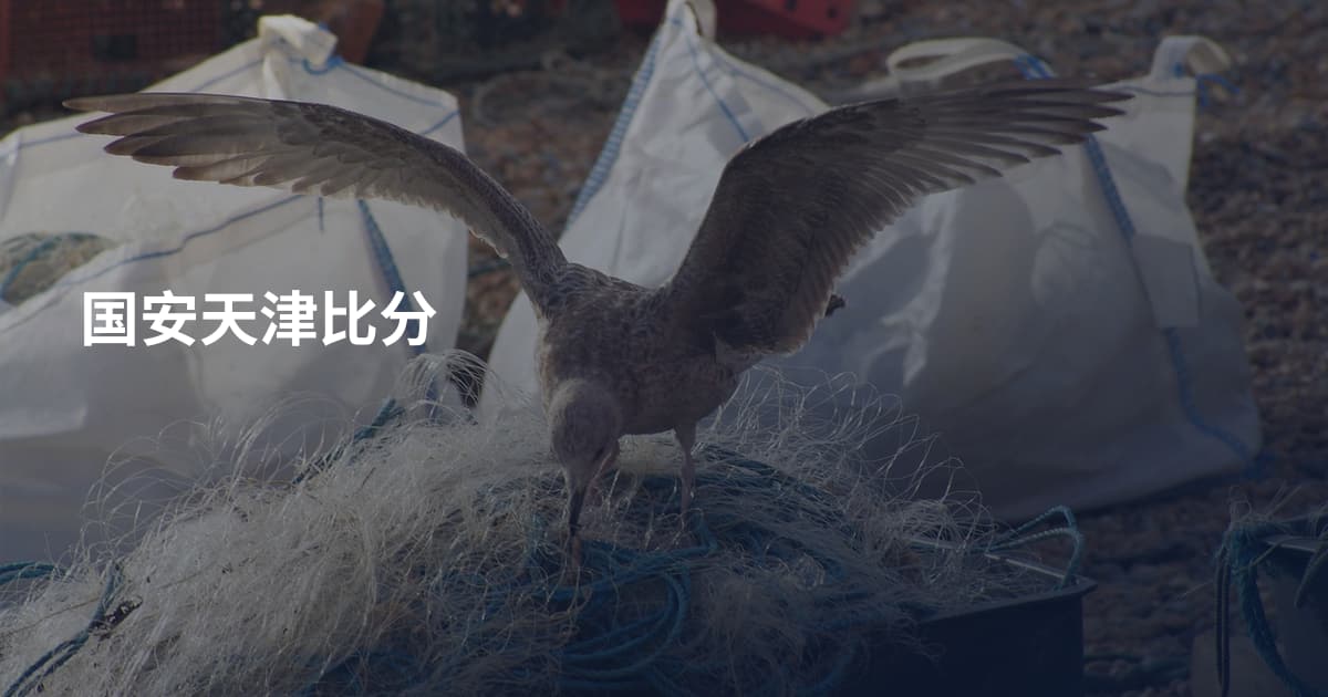 国安天津比分