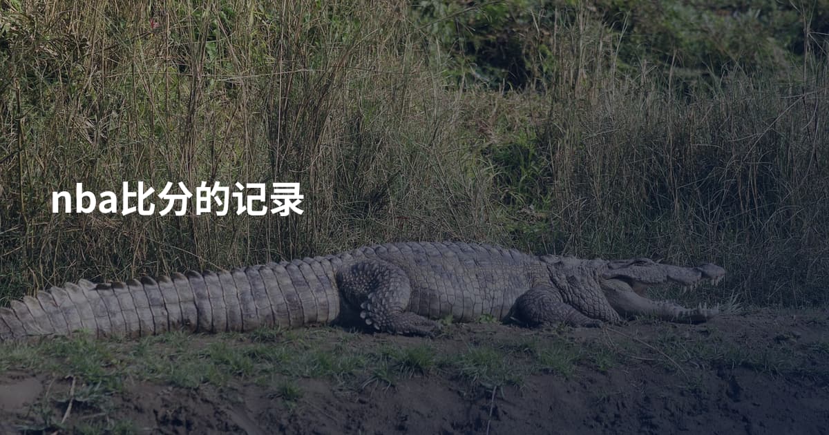 nba比分的记录