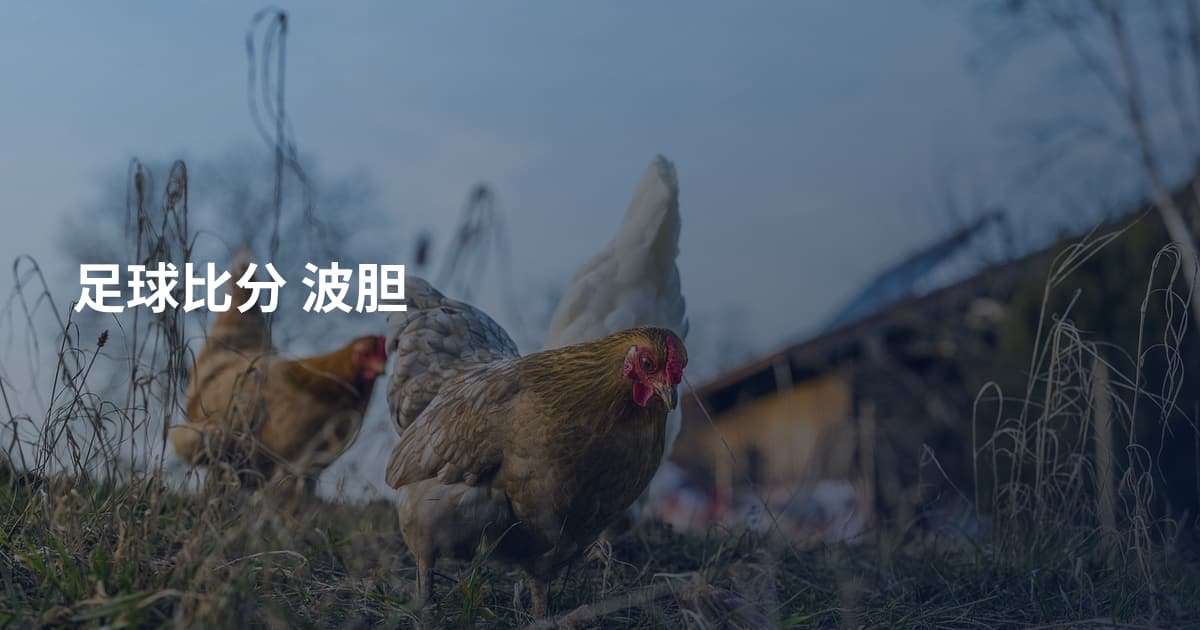 足球比分 波胆