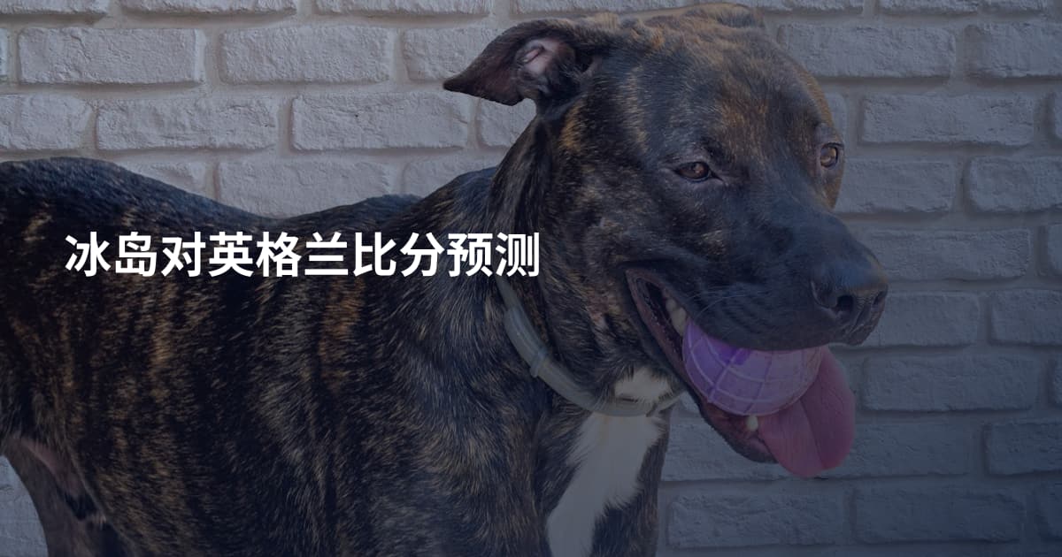 冰岛对英格兰比分预测