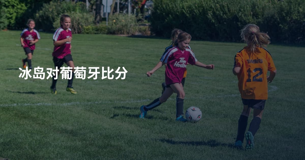 冰岛对葡萄牙比分