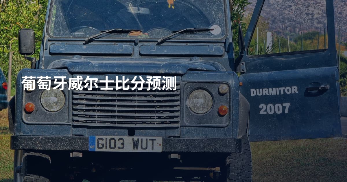 葡萄牙威尔士比分预测