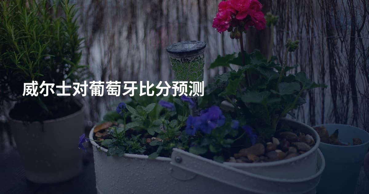 威尔士对葡萄牙比分预测