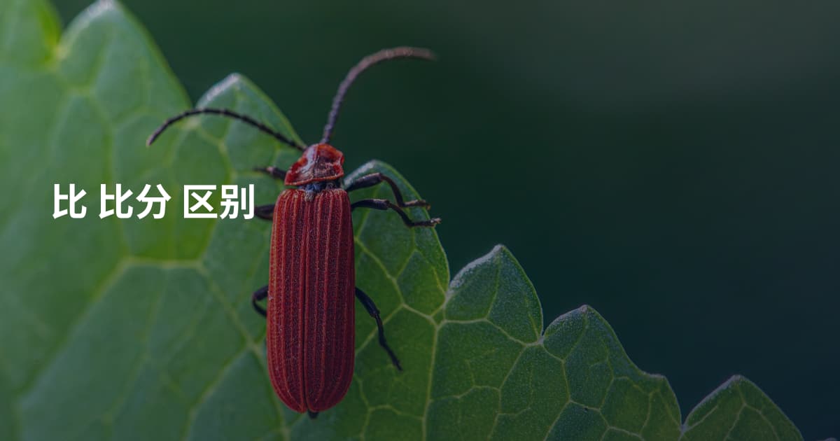 比 比分 区别